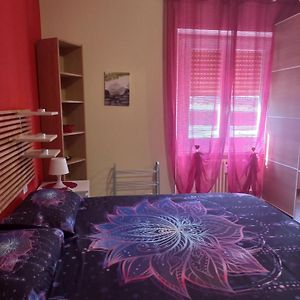 Standaard Double Kamer
